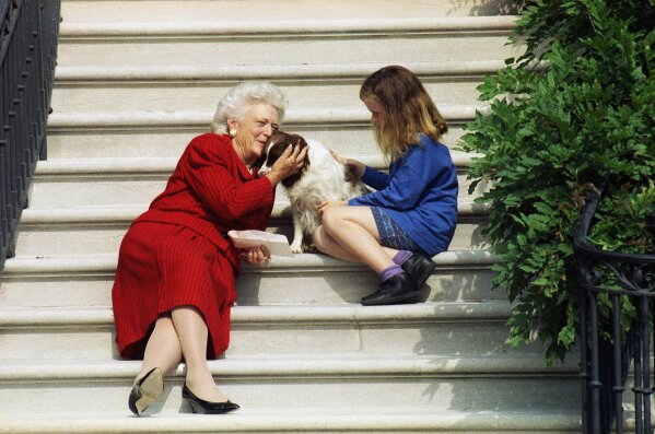Pets are back Biden s 2 dogs settle in at White House AP News